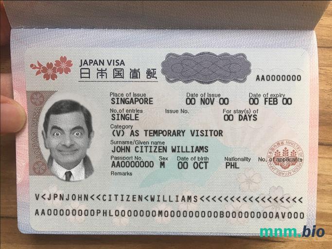 Szablon wizy turystycznej do Japonii